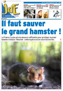 Le hamster d'Alsace en voie de disparition